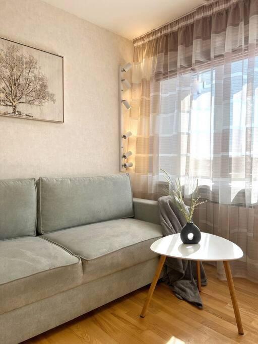 New Apartment With A View In The Town Center Narva Eksteriør billede